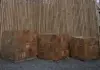 Product image 1 of the product “Wooden planter, cubic form made from teak root. Set of 3, in the size 70, 60 and 50 cm ”